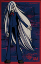 tu-144 girl poster